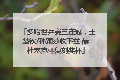 多哈世乒赛三连冠，王楚钦/孙颖莎收下兹·赫杜塞克杯复刻奖杯